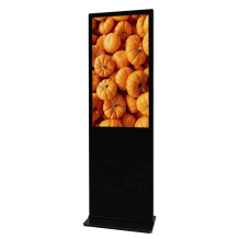 Vormatic 43" LCD Display напольный внутренний