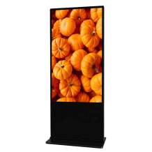 Vormatic 55" LCD Display напольный внутренний