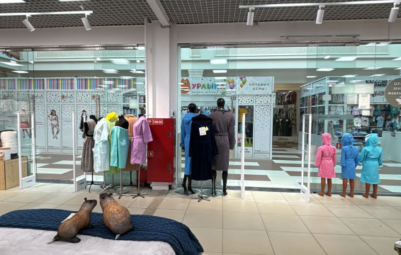 Магазин Zebra Home, г. Иваново, ТЦ РИО - 2 прохода по 140 см